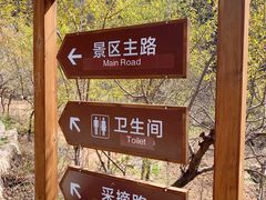 -大岭沟猕猴桃谷风景区