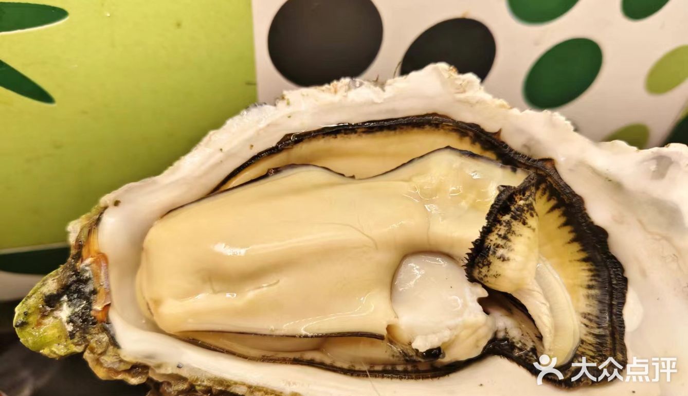 鸿洋烤肉中海城店——味蕾的狂欢之旅  朋友强