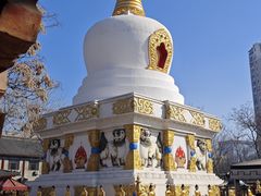-护国法轮寺