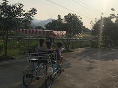 -红山村