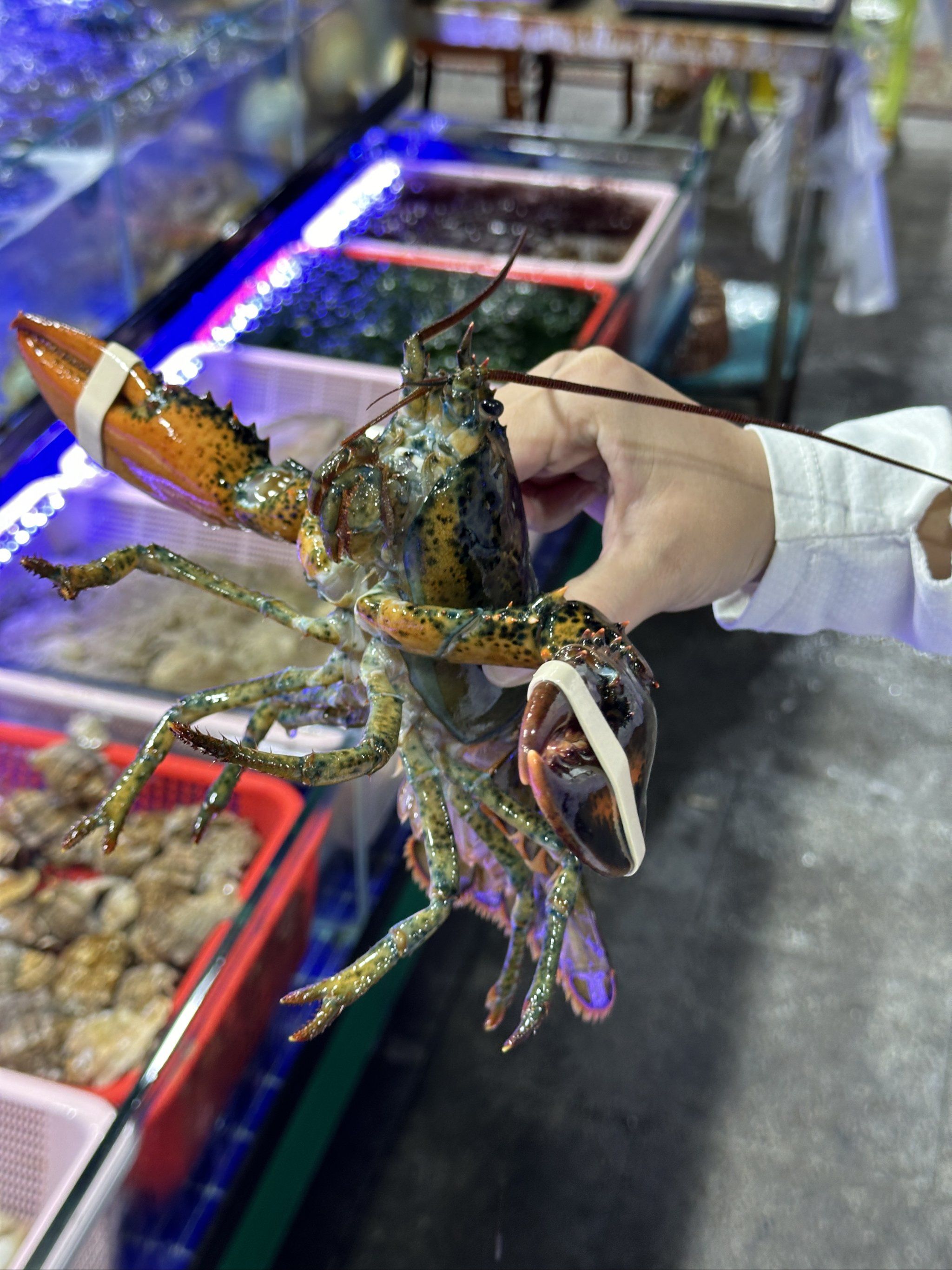 连云港海鲜美食推荐!