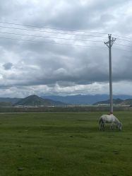 -纳帕海依拉草原