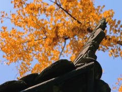 -大妙火锅·非物质文化遗产(东湖公园店)