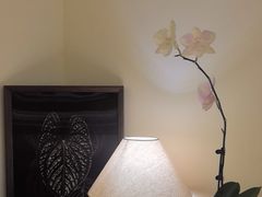 -本無咖啡·BeanWood Coffee