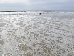 -黄金海岸