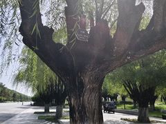 -汉长安城未央宫国家考古遗址公园