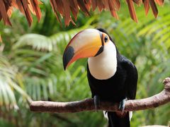 -广州长隆野生动物世界