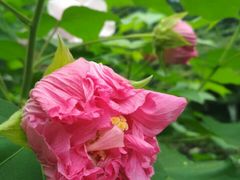 -圣·阿列克谢耶夫教堂