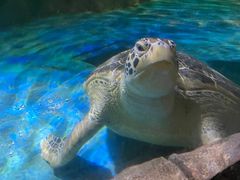 -多彩贵州城极地海洋世界