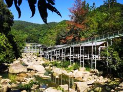 -四会奇石河风景区