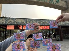 -大明幻境第一城