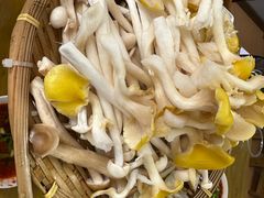 -菌极鲜野生菌火锅店(阳明祠店)