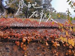 -香山公园