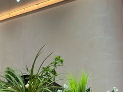 -手技王·影院足道·SPA(深圳之眼店)