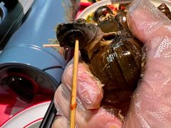 -老闵田螺馆·南昌市井菜·特色小吃(总店)