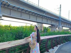 -丁香湖公园