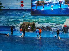 -多彩贵州城极地海洋世界