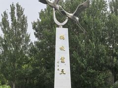 -黑龙江扎龙生态旅游区