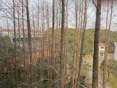 -上海虹桥迎宾馆