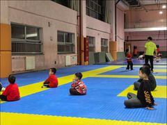 -武术世家少儿培训中心(首都体育学院店)