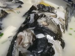 -全乐鱼馆·淳牌有机鱼直营店