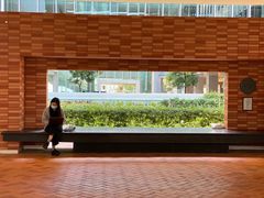 -香港大学