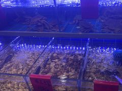 -金海湾海鲜排档(朱家尖店)
