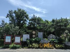 -莲花池公园