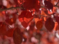 -长春公园(普阳街道)