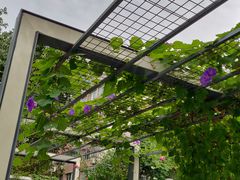-四川大学(望江校区)