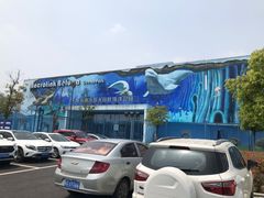 -芜湖新华联大白鲸海洋公园