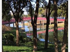 -美兰湖景区