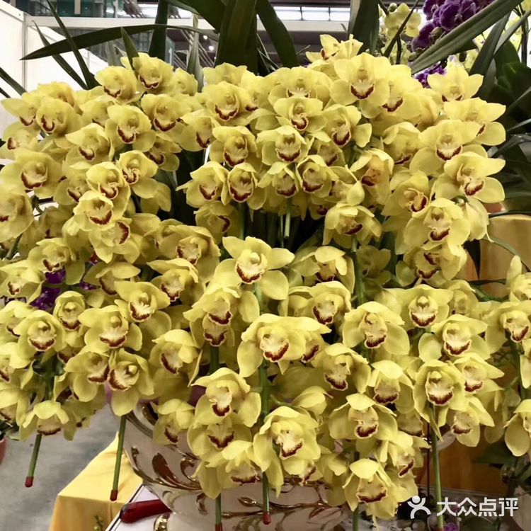 逛花市过年咯！