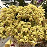 逛花市过年咯！