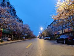 -永乐路-路侧停车场