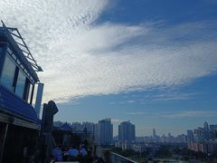-小茶闲舍·观景商务茶馆(广州塔店)