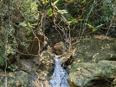 -牛鱼嘴原始生态风景区