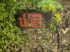 -海南热带雨林国家公园吊罗山景区