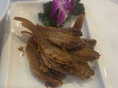 -老人和饭店(淮海中路店)