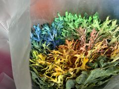 -PETIT PARIS 小巴黎(花园道店)