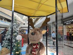 -西树泡芙(珠海华发商都店)