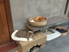 -Again Coffee Roaster(香蜜湖店)