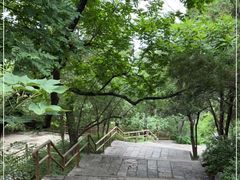 -千佛山风景名胜区