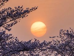 -蜀冈西峰生态公园