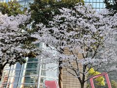 -ABC Cooking Studio(上海环球金融中心店)