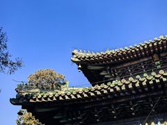 -潭柘寺景区