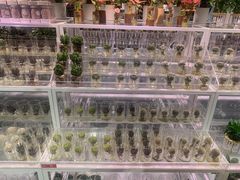 -KKV(深圳宏发大仟里店)