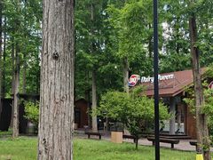 -黄海国家森林公园