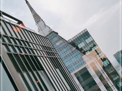 -环球港凯悦 · 享悦中餐厅