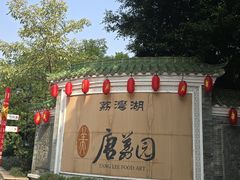 -侨美·唐荔园·40年地道粤菜